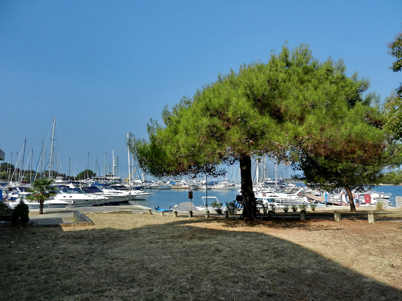 Cervar-porat